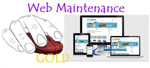 Web Maintenance Gold Package