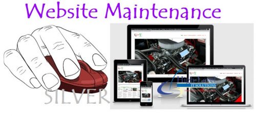 Web Maintenance Silver Package